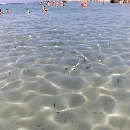 Le Volte Di Toto Surbo